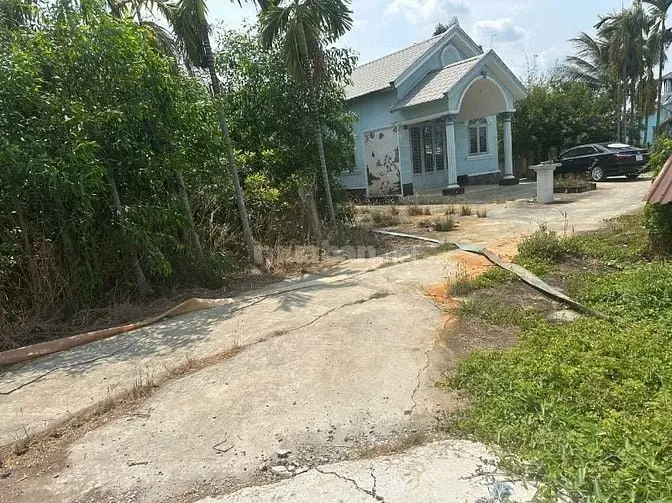 1,626M2, Có 704 Thổ +922V + Nhà Lai, Đường Xh, Long Khê, Cần Đước, La