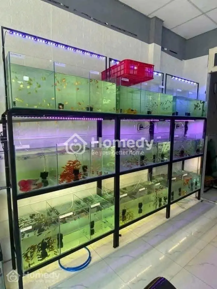 Cần Tiền Nên Bán Gấp Căn Nhà 129M2 Ở Tân Thông Hội - Củ Chi. Giá 750 Triệu