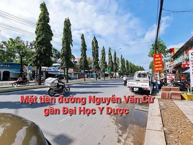 6043586 ảnh đại diện 1