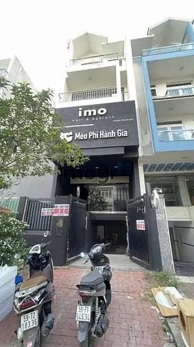6043272 ảnh đại diện 1