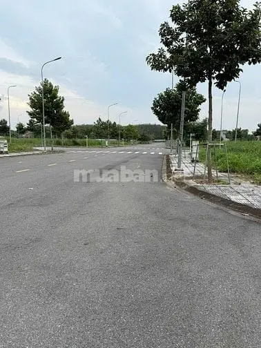 6043761 ảnh đại diện 1
