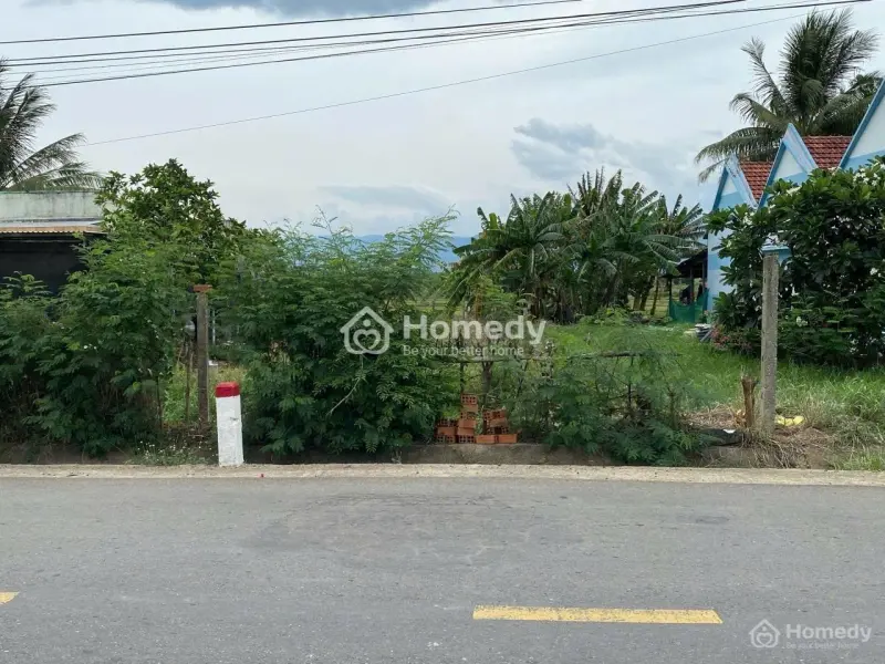 Bán Đất Tân Mỹ, Xã Tân Định, Ninh Xuân Cũ, Mt Tỉnh Lộ 6, 100% Thổ Cư