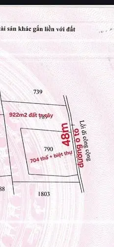 6043451 ảnh đại diện 1