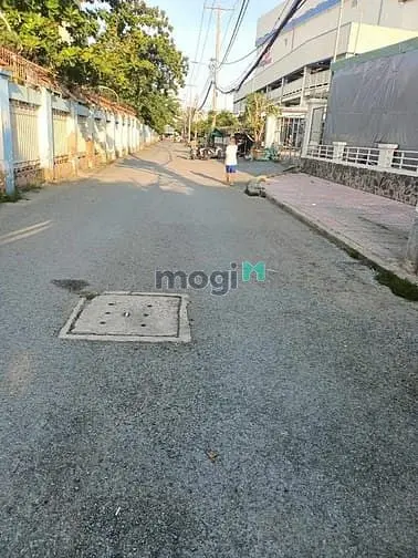 6043953 ảnh đại diện 1