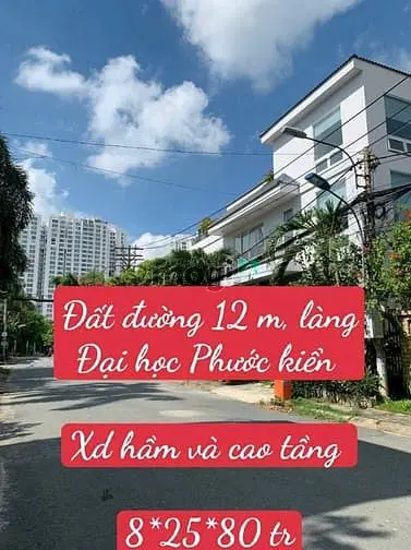 Rổ Hàng Đất Đường 12 Khu Làng Đh Phước Kiển Nhà Bè. 80 Tr/ M2.