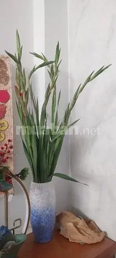 Cần Bán Nhà Mặt Tiền Phường Tăng Nhơn Phú Tphcm