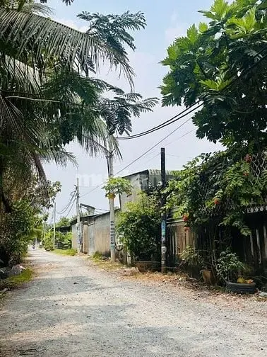 Cho Thuê Kho Xưởng 2.160M² Có Vp, Điện 3 Pha, Xe Container, Bình Chánh