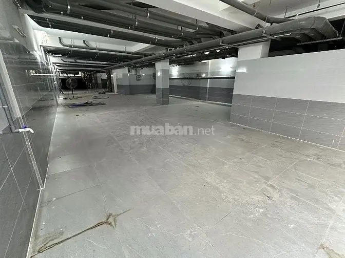 Căn Hộ Có Dòng Tiền Siêu Khủng 140 Tr/ Th. Dt: 8.7X32M.