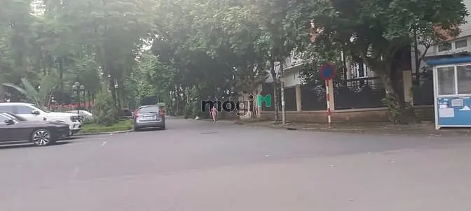 6043886 ảnh đại diện 1