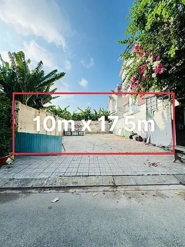 6044043 ảnh đại diện 1
