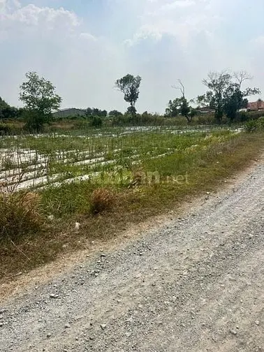 145M2 Có Thổ Cư. Đường Thông. Gần Kcn Phước Đông. 240Tr