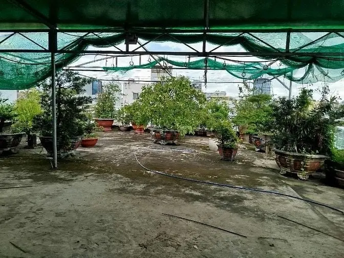 Cho Thuê Nguyên Tòa Số 10 Cô Giang, P.cầu Ông Lãnh,Quận 1, Tp Hồ Chí