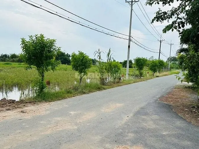 6044007 ảnh đại diện 1