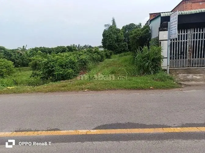 6044386 ảnh đại diện 1