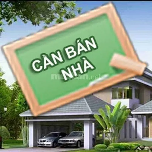 6044456 ảnh đại diện 1