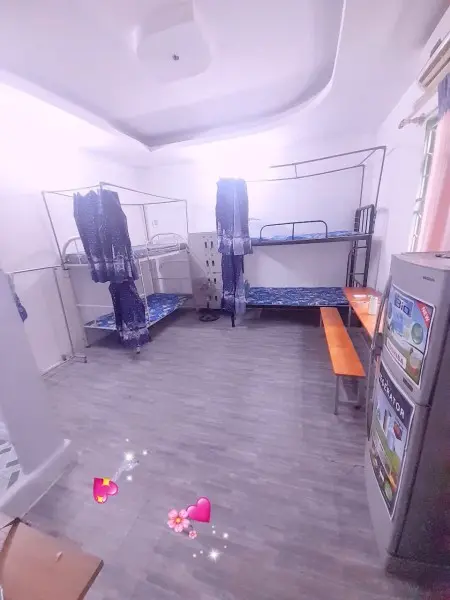 6044478 ảnh đại diện 1