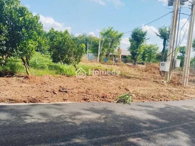 6044421 ảnh đại diện 1