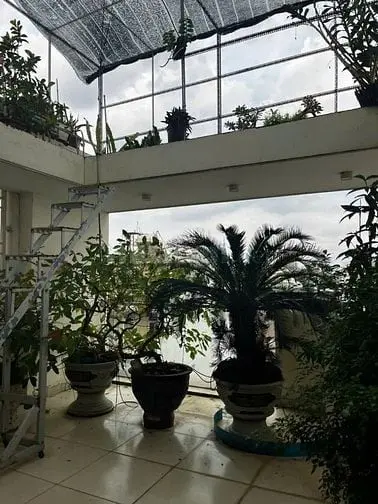 Bán Nhà Hẻm Đặng Thùy Trâm, P.13, Q.bình Thạnh, 5X16M, 2 Lầu