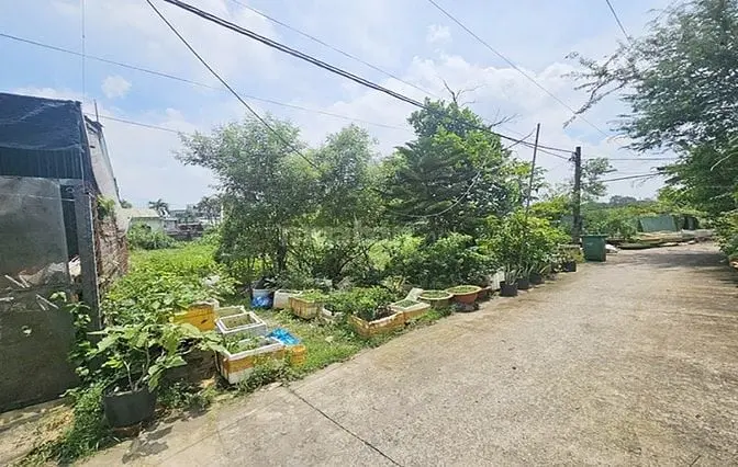 Cần Cho Thuê Đất Mặt Tiền Đường Số 9 Bình Trưng Đông Q2 Dt:15X35=538M2