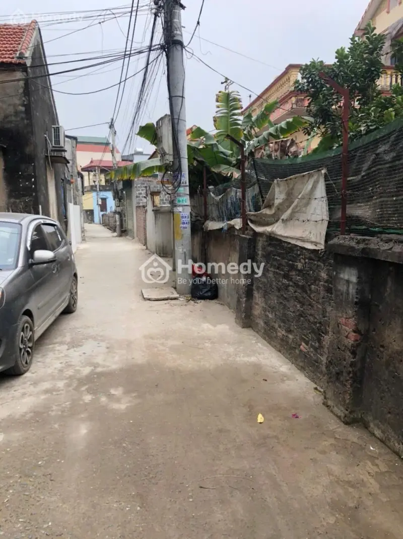 6044560 ảnh đại diện 1