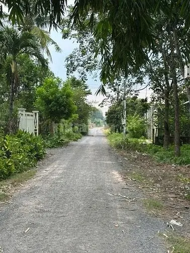 275M2 Có Thổ Cư. Ngang 6M. Nở Hậu. Gần Trường Học. 450Tr