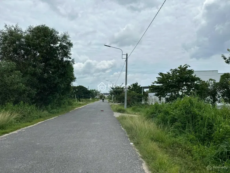 6044479 ảnh đại diện 1