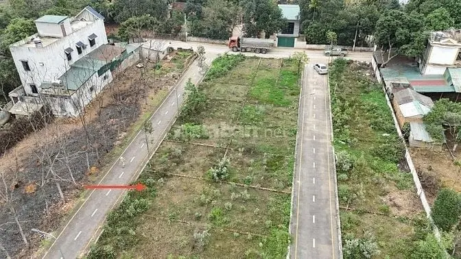 6044506 ảnh đại diện 1