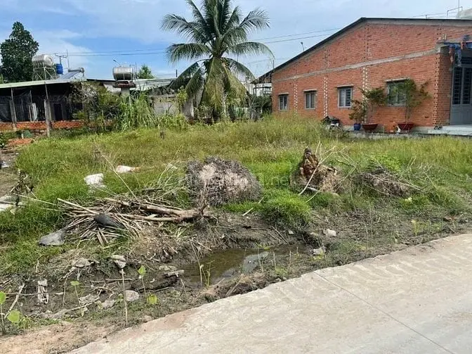 6044385 ảnh đại diện 1