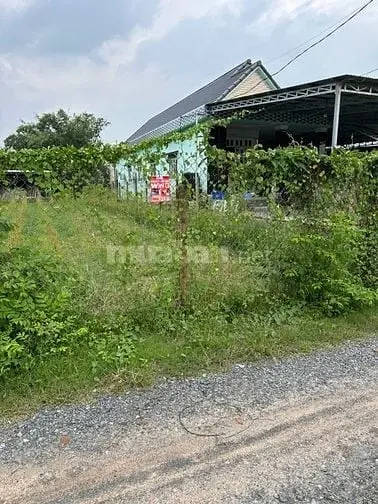 6044387 ảnh đại diện 1