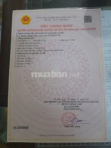 Cần Bán Gấp Đất Mỹ Nội, Phúc Thịnh, Đông Anh