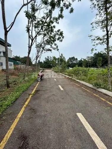 🔥🔥🔥Bán 60,1M2 Vĩnh Lộc_ Thiên Mã Cách Ql21 500M