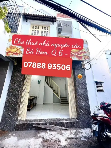 6044751 ảnh đại diện 1