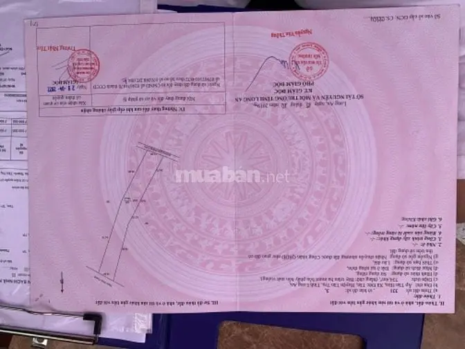 Đất Thổ Cư 100% Cần Bán Giá Rẻ