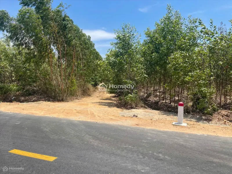 Bán 2787M2 Đất 2 Mặt Đường Nhựa Phạm Thế Hiển, Tân Bình, Lagi Giá Rẻ Nhất