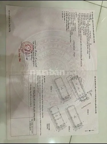 6044733 ảnh đại diện 1