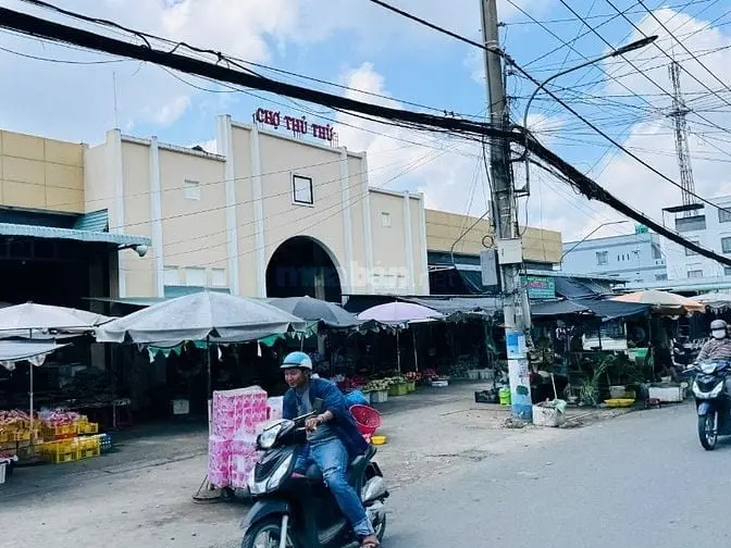 6044748 ảnh đại diện 1