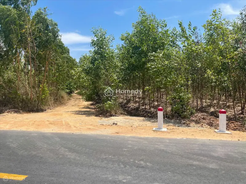 Bán 2787M2 Đất 2 Mặt Đường Nhựa Phạm Thế Hiển, Tân Bình, Lagi Giá Rẻ Nhất