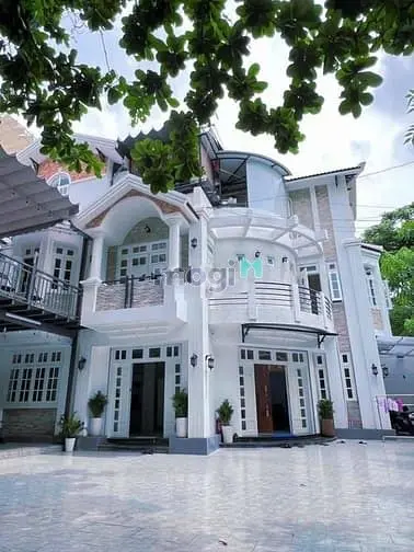 6044594 ảnh đại diện 1