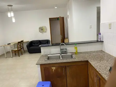 Cho Thuê Căn Hộ Chung Cư D1 Phú Lợi