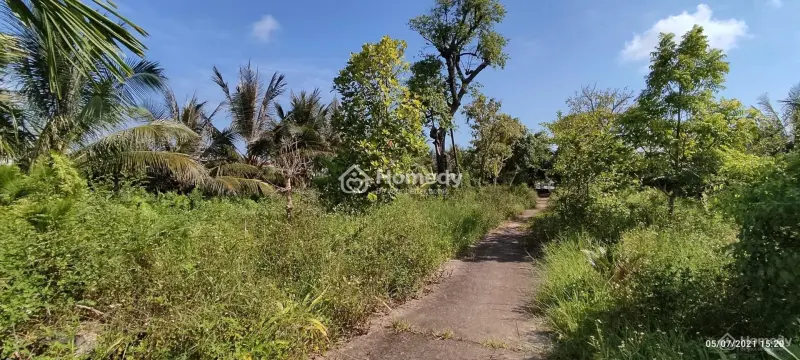 Bán Lô Đất Trang Trại Hơn 5000M Ở Kiến Thụy, Hải Phòng