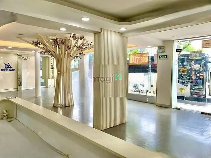 6045671 ảnh đại diện 1