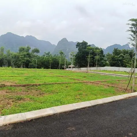 🔥 Siêu Phẩm Đất Nền Lõi Kcn Thanh Hà 85.5M² – Chỉ 670 Triệu, Tiềm Năng Sinh Lời C