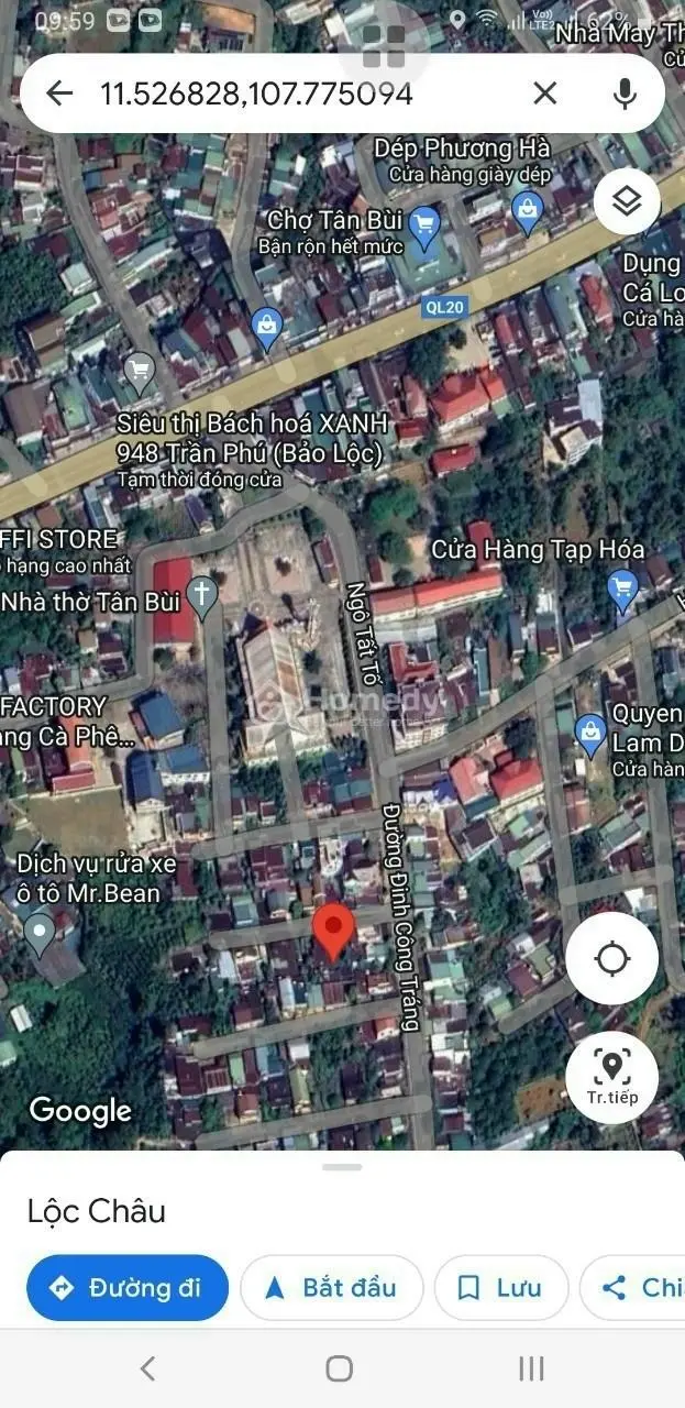 6045661 ảnh đại diện 1