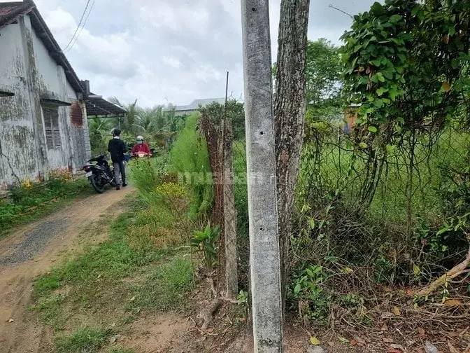 271M2 Có Thổ Cư. Gần Kcn Hiệp Thạnh. 6M Ngang, 450Tr