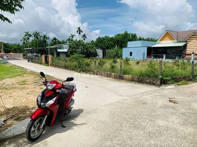 6045426 ảnh đại diện 1