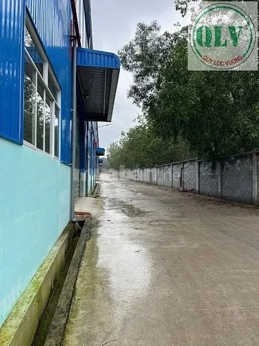 Cho Thuê Nhà Xưởng 2.660 M² – Long Nguyên, Bàu Bàng, Bình Dương