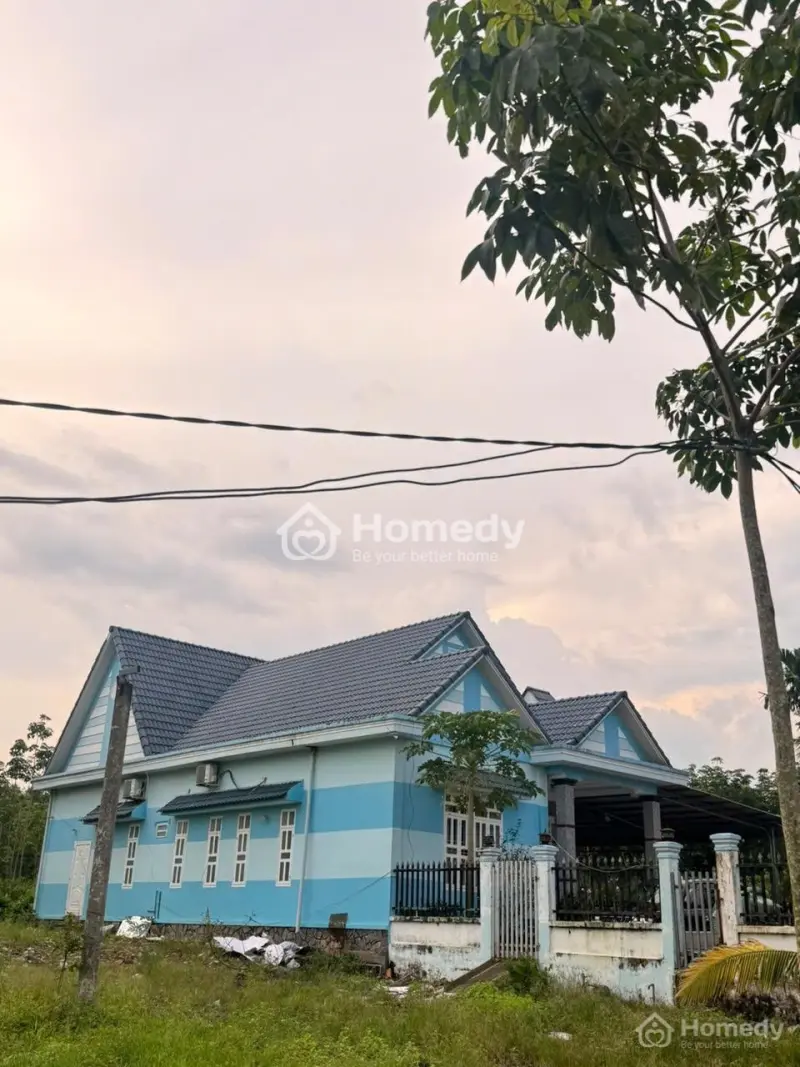 6045375 ảnh đại diện 1