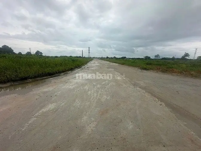 Bán Đất Thổ Cư Tại An Hòa, Tam Dương, Vĩnh Phúc