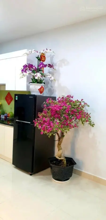 Cho Thuê Căn Hộ Dreamhome Palace Quận 8