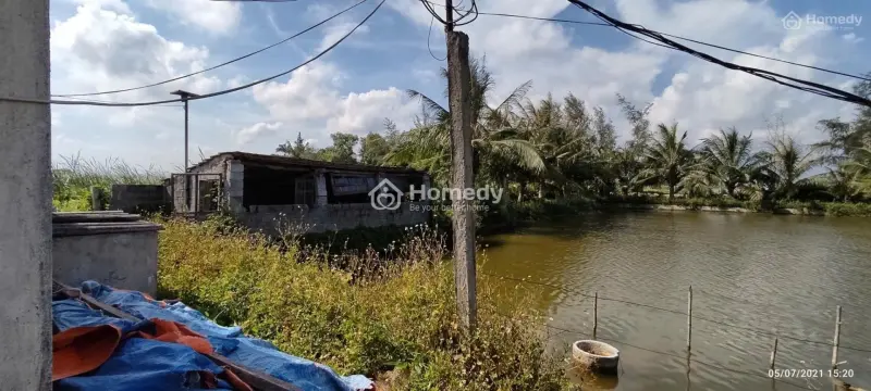 Bán Lô Đất Trang Trại Hơn 5000M Ở Kiến Thụy, Hải Phòng